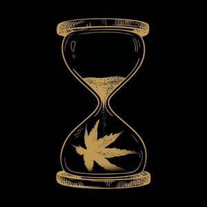 日韩女优资源导航入口
