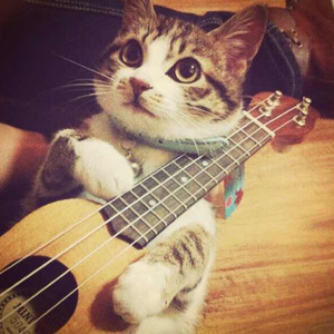 日韩女优资源导航入口
