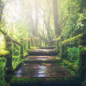 日韩女优资源导航入口
